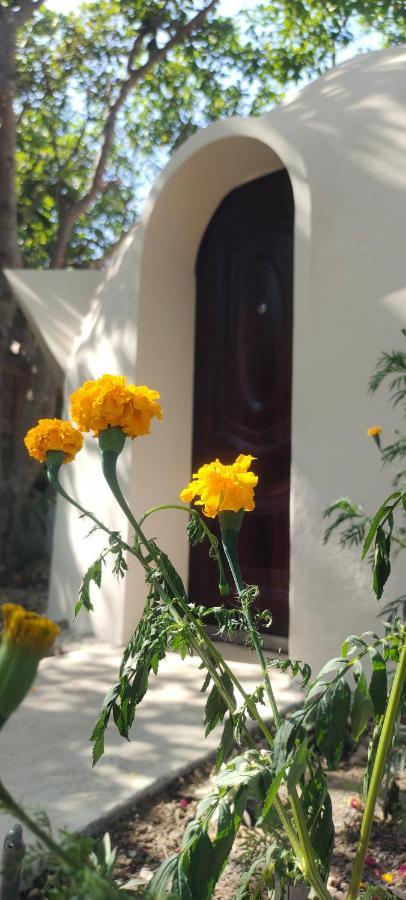A Pousada Done Right Phumi Chrouy Svay Exterior foto